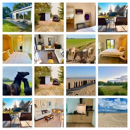 Natuurhuis Zeeuwse Rust Voor Wandelingen Aan Zee, Fietstochten In Natuur En Culinair Genieten Villa IJzendijke Eksteriør billede