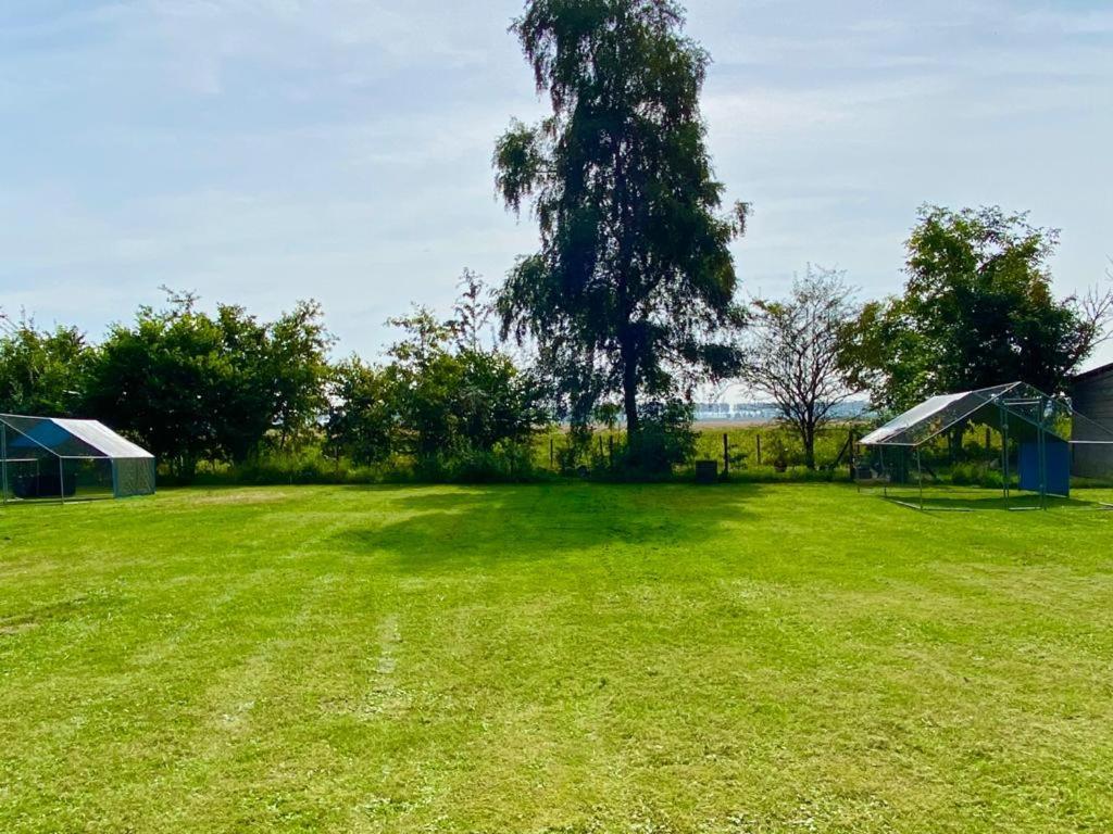 Natuurhuis Zeeuwse Rust Voor Wandelingen Aan Zee, Fietstochten In Natuur En Culinair Genieten Villa IJzendijke Eksteriør billede